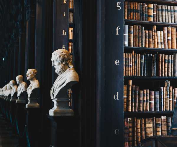 library with greek-style busts at the end of every row